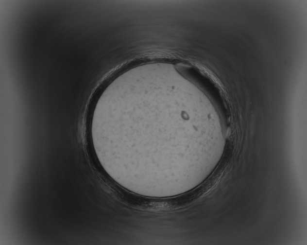X0000100190391200806201259