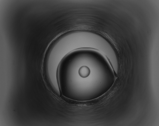 X0000100190392200806201259