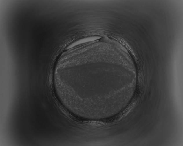 X0000100190393200806201259