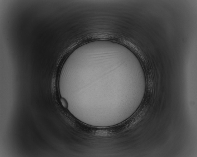 X0000100190394200806201259