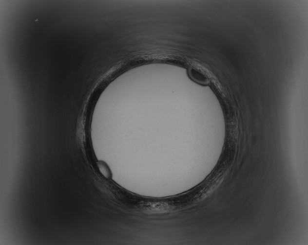 X0000100190395200806201259