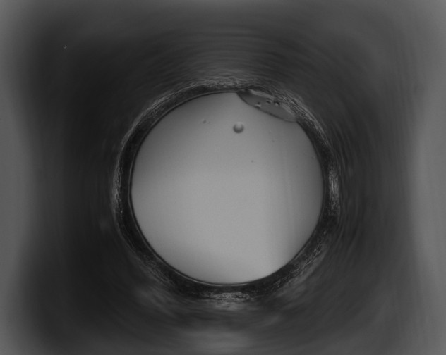 X0000100190396200806201259