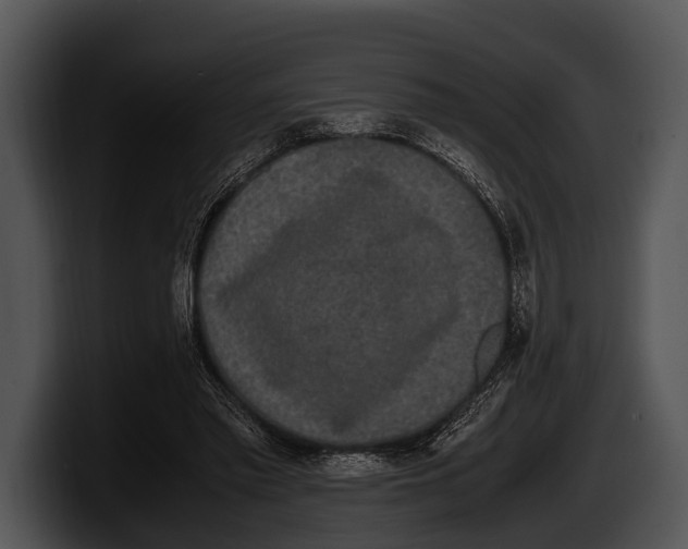 X0000100190397200806201259