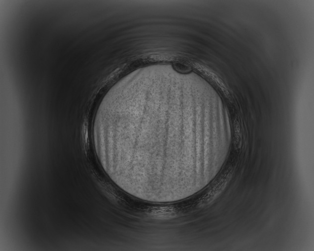 X0000100190398200806201259
