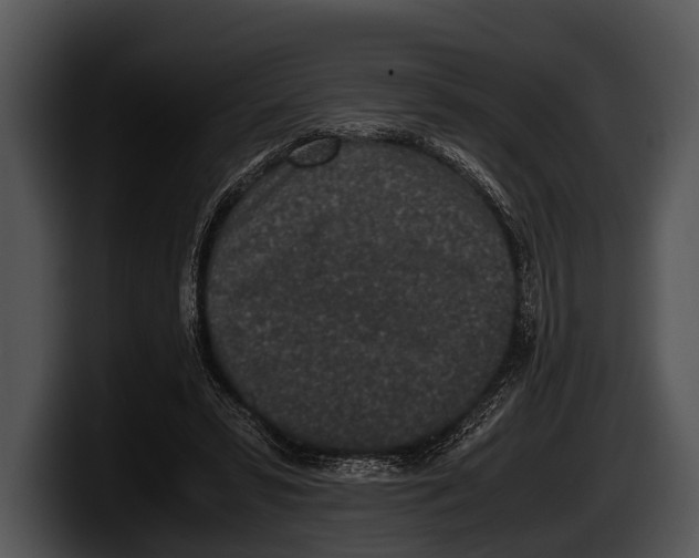 X0000100190399200806201259