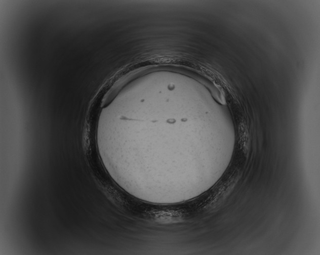 X0000100190400200806201259