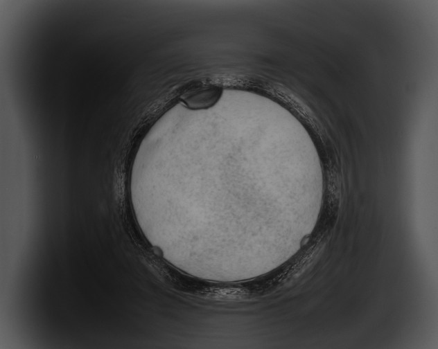 X0000100190401200806201259