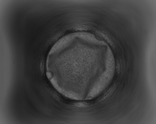 X0000100190402200806201259