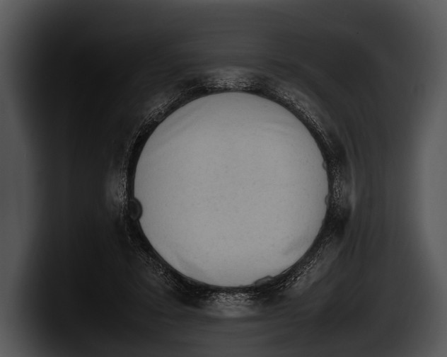 X0000100190403200806201259