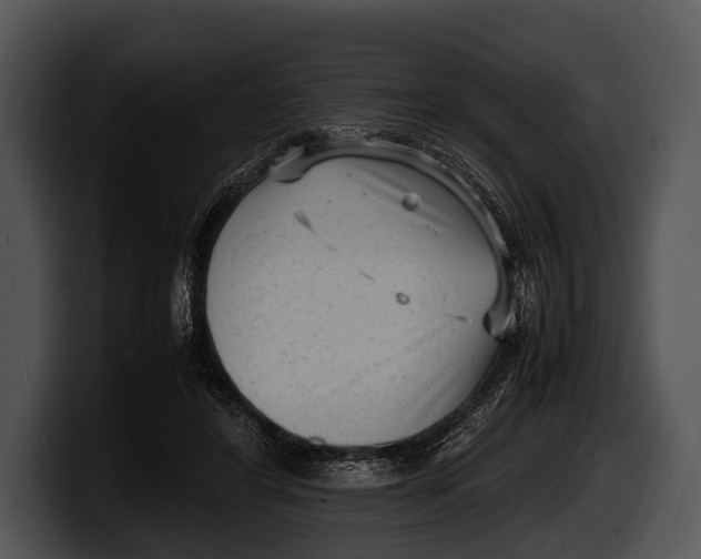 X0000100190404200806201259