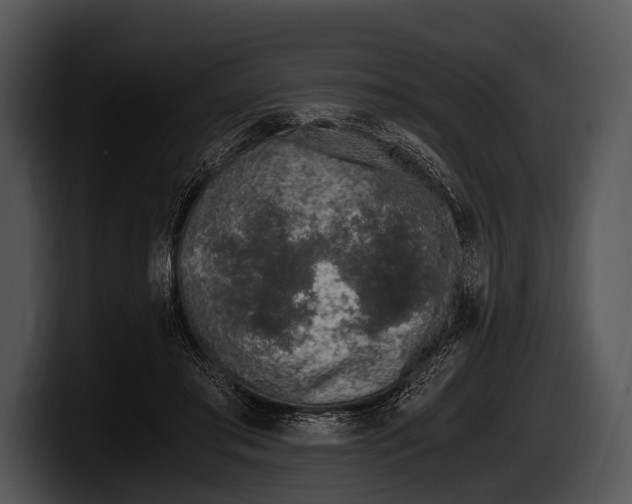 X0000100190405200806201259
