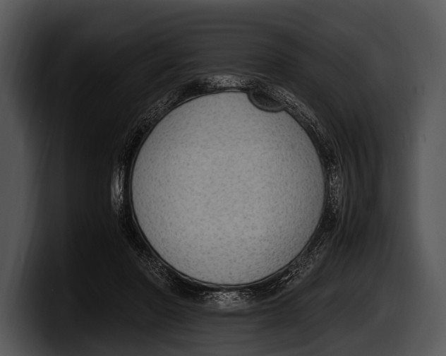 X0000100190406200806201258