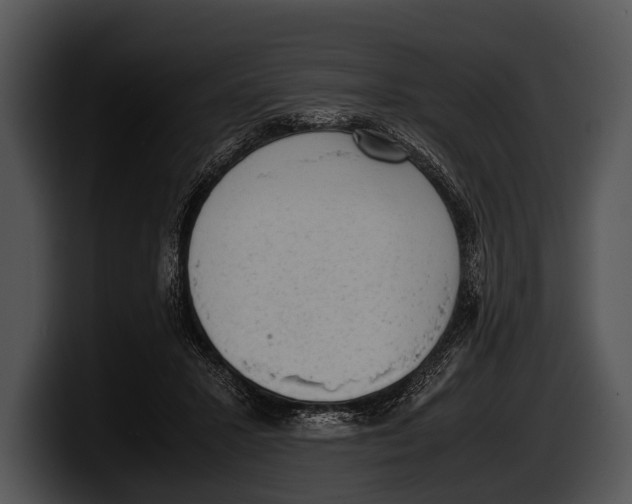 X0000100190407200806201258