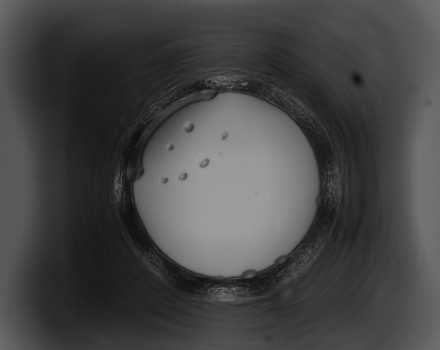 X0000100190408200806201258