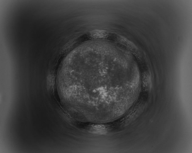X0000100190409200806201258