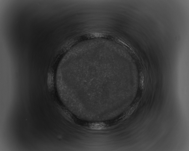 X0000100190410200806201258
