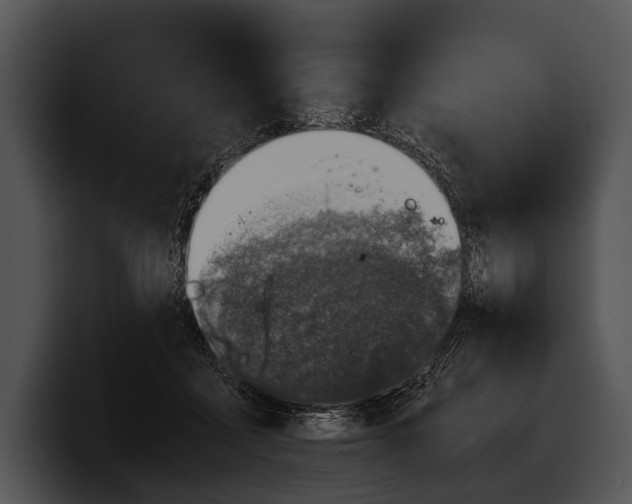 X0000100190411200806201258