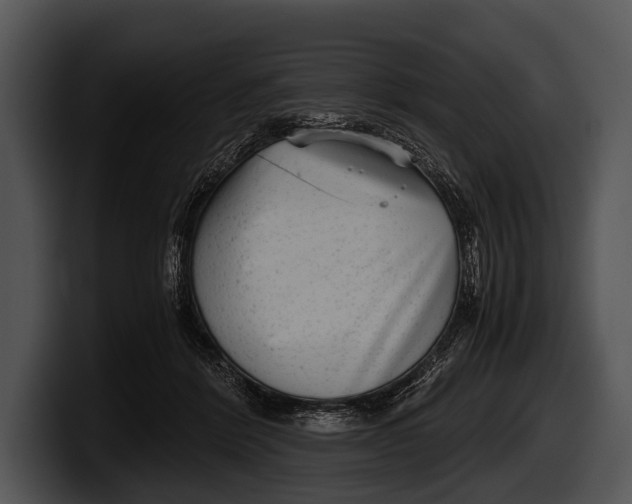 X0000100190412200806201258