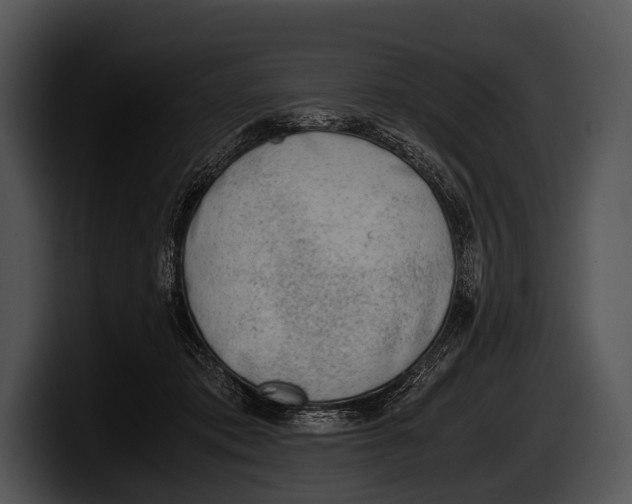X0000100190413200806201258