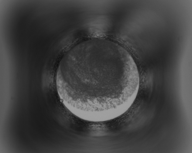 X0000100190415200806201258