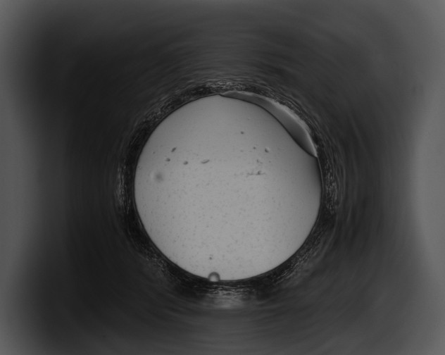 X0000100190416200806201258