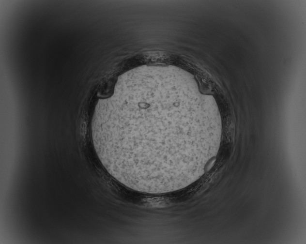 X0000100190417200806201258