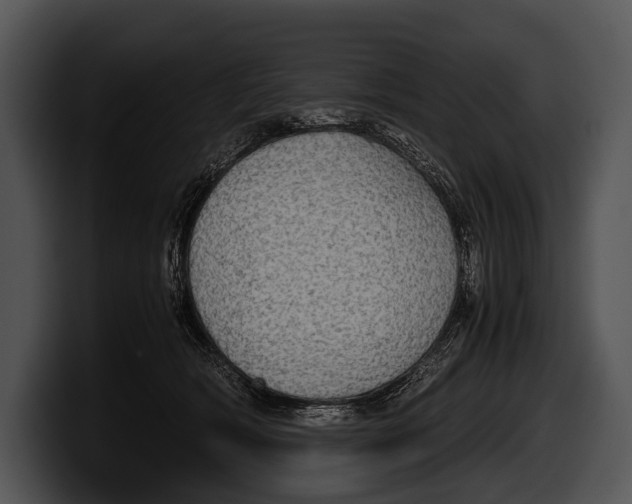 X0000100190418200806201258