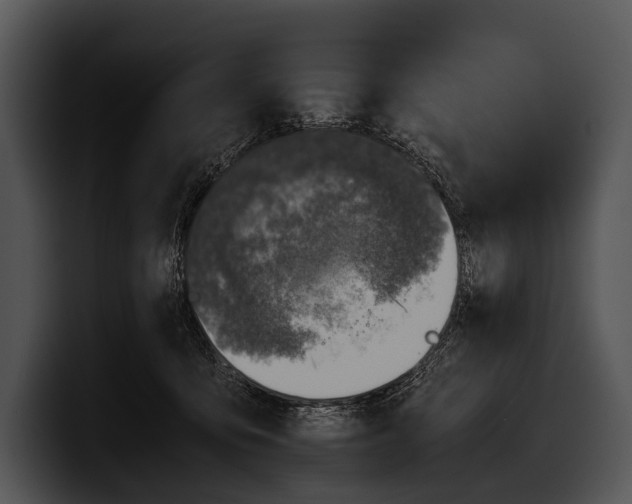 X0000100190419200806201258