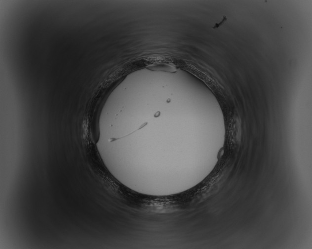 X0000100190420200806201258