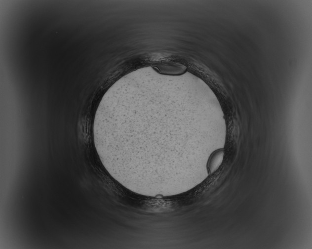X0000100190421200806201258