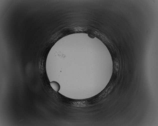 X0000100190422200806201258