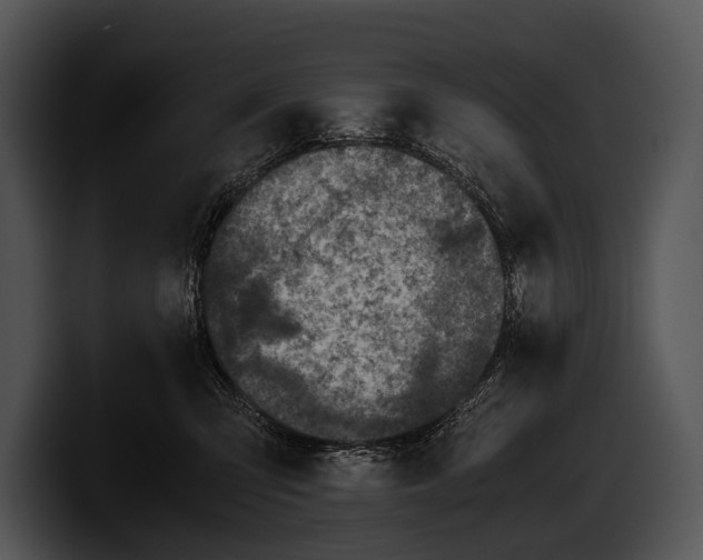 X0000100190423200806201258