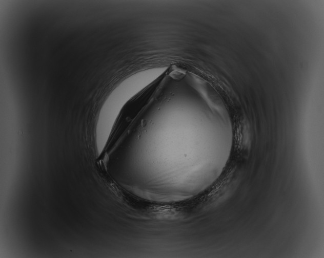 X0000100190424200806201258