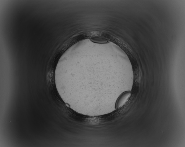X0000100190425200806201258