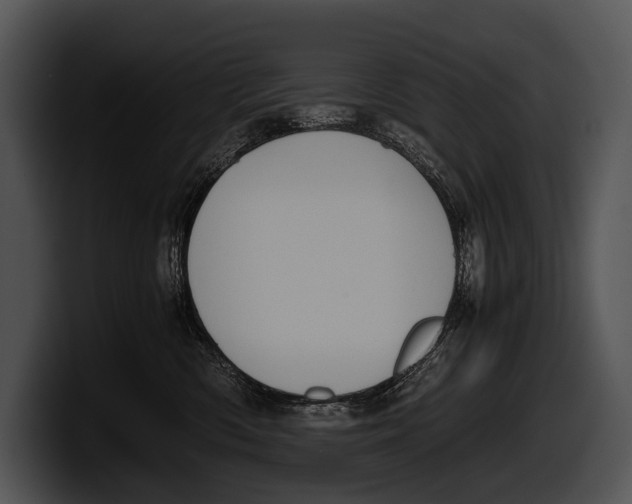 X0000100190426200806201258