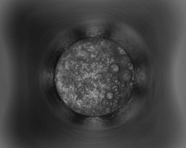 X0000100190427200806201258