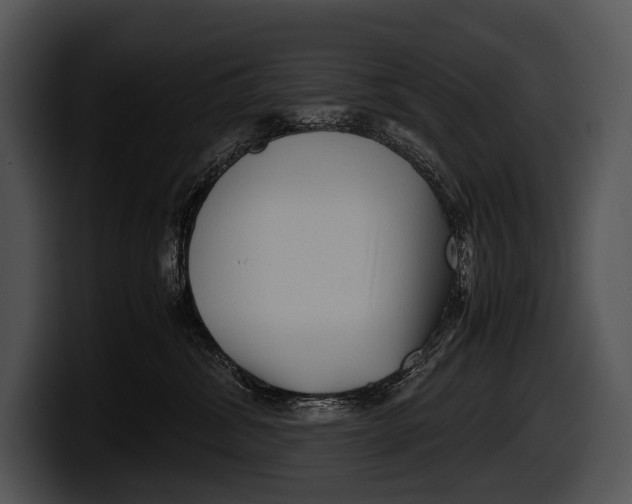 X0000100190428200806201258