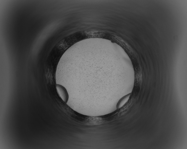 X0000100190429200806201258