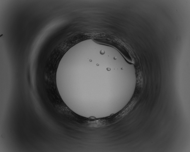 X0000100190430200806201258