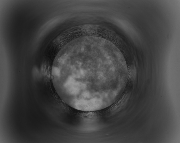 X0000100190431200806201258