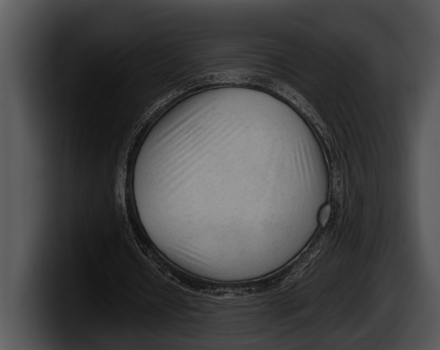 X0000100190434200806201258