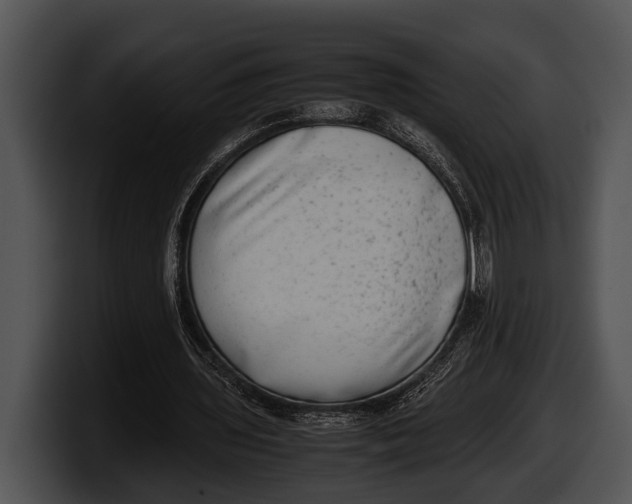 X0000100190435200806201258