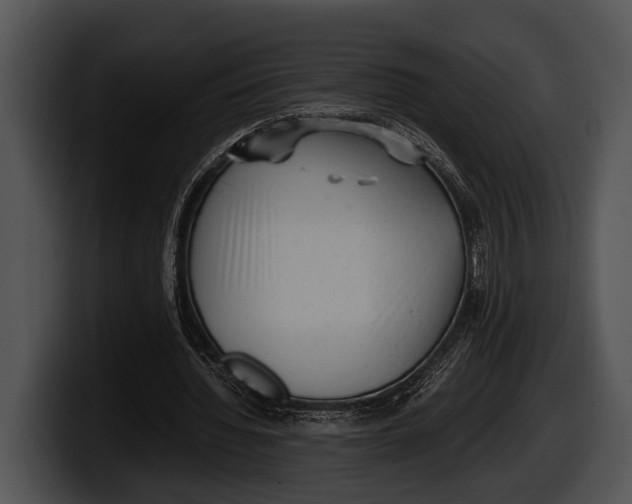 X0000100190436200806201258