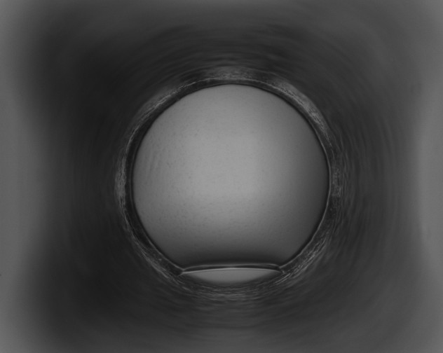 X0000100190437200806201258