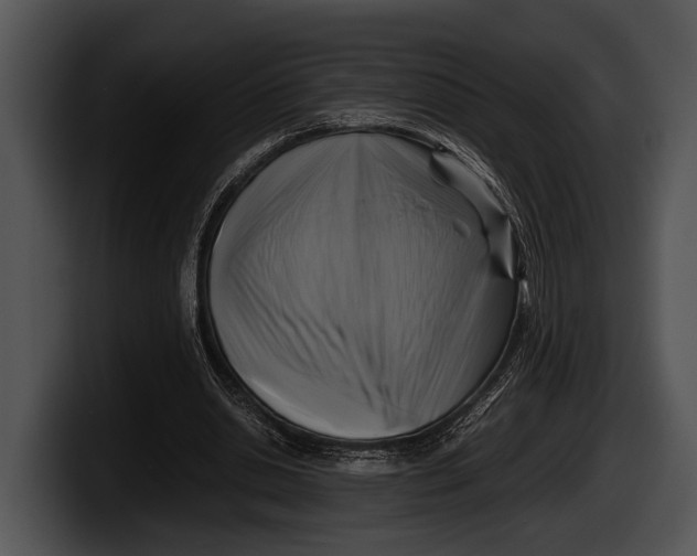 X0000100190438200806201258