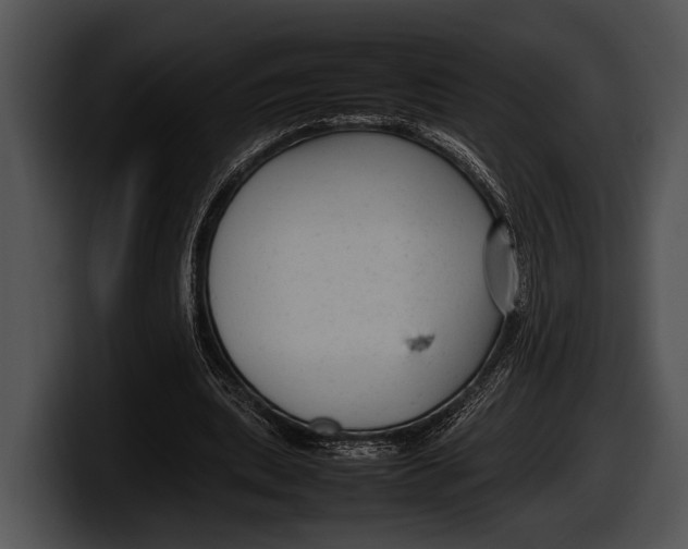 X0000100190439200806201258