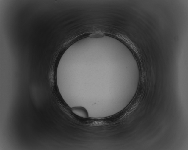 X0000100190441200806201258
