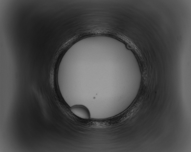 X0000100190442200806201258