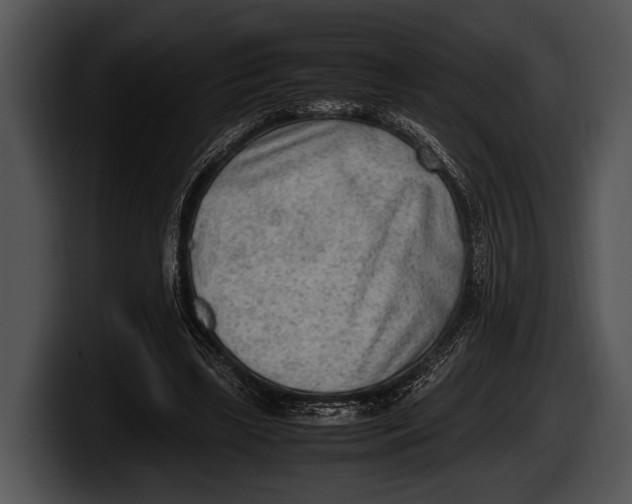 X0000100190443200806201258