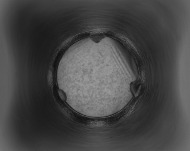 X0000100190444200806201258
